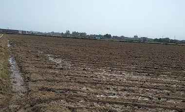 Terreno Agricola Huaral / Cerca a La Ciudad 7.89 Hectáreas