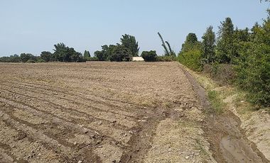 Terreno Agricola Huaral / Cerca a La Ciudad 7.89 Hectáreas