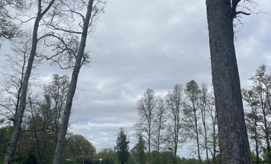 Hermosas parcelas en Valdivia, Sector Pufudi