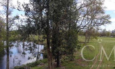 Hermosas parcelas en Valdivia, Sector Pufudi