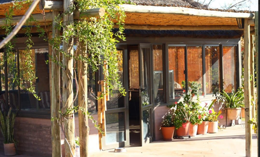 TURISMO RURAL - RUSSEL MAIPU