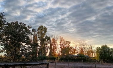 TURISMO RURAL - RUSSEL MAIPU