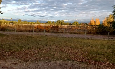 TURISMO RURAL - RUSSEL MAIPU