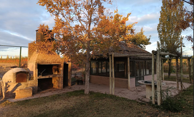 TURISMO RURAL - RUSSEL MAIPU