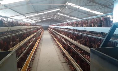 Venta de terreno en Samanga deAmbato