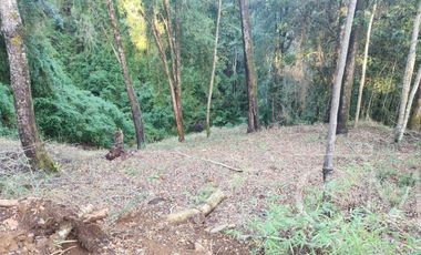 Parcela en Quitacalzon Alto