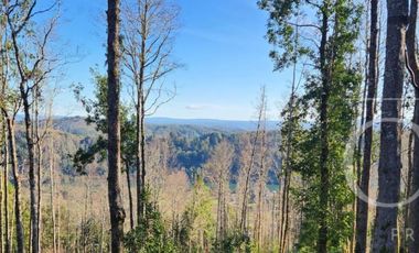 Parcela en Quitacalzon Alto