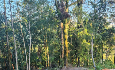 Parcela en Quitacalzon Alto