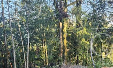 Parcela en Quitacalzon Alto