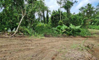 Vendo Terreno de 1.017,60 m² en Urb. privada San Francisco Country Club Mz. 05, lote 25E