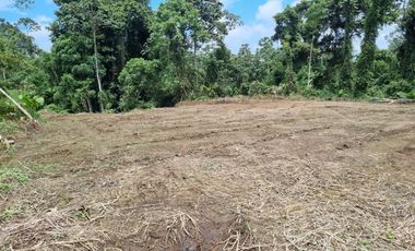 Vendo Terreno de 1.017,60 m² en Urb. privada San Francisco Country Club Mz. 05, lote 25E