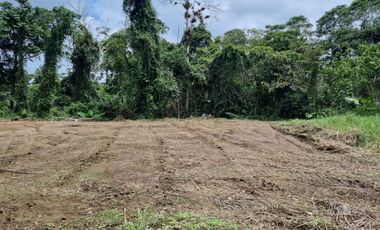 Vendo Terreno de 1.017,60 m² en Urb. privada San Francisco Country Club Mz. 05, lote 25E