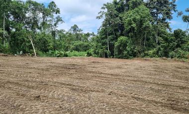 Vendo Terreno de 1.017,60 m² en Urb. privada San Francisco Country Club Mz. 05, lote 25E