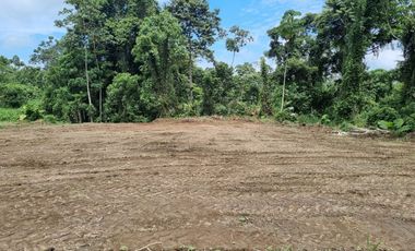 Vendo Terreno de 1.017,60 m² en Urb. privada San Francisco Country Club Mz. 05, lote 25E