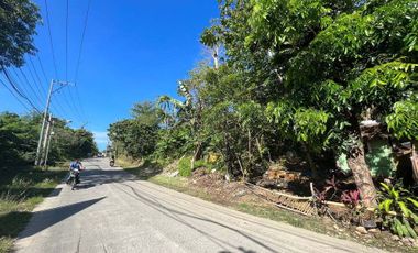 Agricultural Lot for Sale in Boracay Island