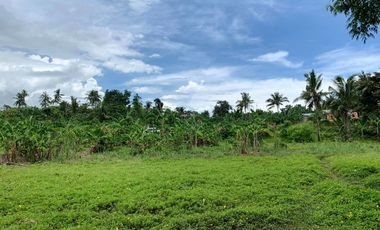 For Sale: 3564 Lot in Toledo City