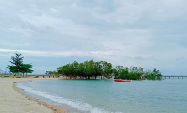 For Sale Pre- Selling 3 Bedroom 2 Storey Vacation/Retirement Beach Villas in Danao City, Cebu