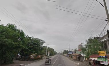 Villasis Pangasinan Commercial/Industrial Lot For Lease 15,317 sqm