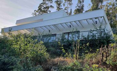 Vendo terrenos de 2000 m2 a 16 minutos de Concepción, orilla de Autopista