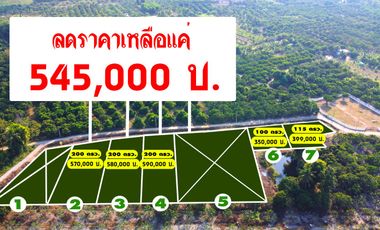 Land sale start 100sqWa, 350KB, mountain view, public utilities, San Pa Tong District, Chiang Mai.