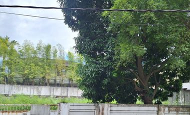 Selling below the current market price: Lot for sale in Ayala Alabang Village, Muntinlupa
