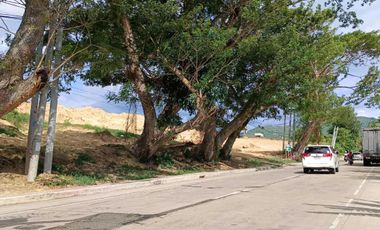 For Sale 6 Years to Pay 500 Sq.m Commercial Lot in Dakit, Barili, Cebu