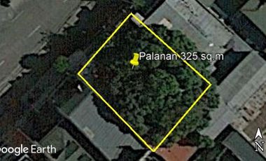 PALANAN MAKATI CITY COMMERCIAL RESIDENTIAL LOT FOR SALE NEAR OSMENA HIGHWAY