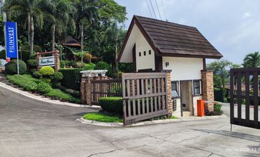 Residential Farm Lot for Sale in Angono