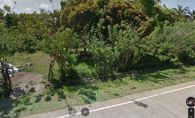 39 sqm RUSH LOT FOR SALE ALONG MARILAQUE HIGHWAY