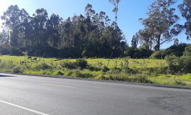 TERRENO COMERCIAL, Cuendina, con 200 metros de frente a la E-35, área 31783m2