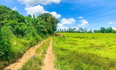 31K SQM hectares Lot for Sale Tanauan Batangas Near Star Tollway Agricultural Farm Lot Land Property, once yours best to convert into commercial lot, industrial lot, or Warehouse