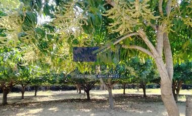 23 Hectareas en venta en colindancia con  Medanos de Ixtapa Zihuatanejo T519