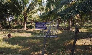 23 Hectareas en venta en colindancia con  Medanos de Ixtapa Zihuatanejo T519