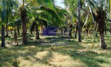 23 Hectareas en venta en colindancia con  Medanos de Ixtapa Zihuatanejo T519