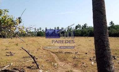 23 Hectareas en venta en colindancia con  Medanos de Ixtapa Zihuatanejo T519