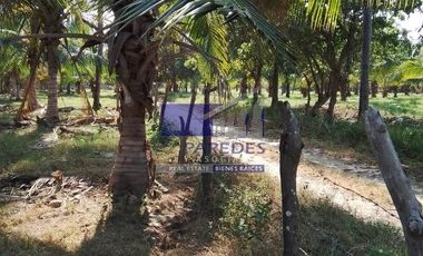 23 Hectareas en venta en colindancia con  Medanos de Ixtapa Zihuatanejo T519