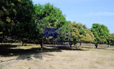 23 Hectareas en venta en colindancia con  Medanos de Ixtapa Zihuatanejo T519