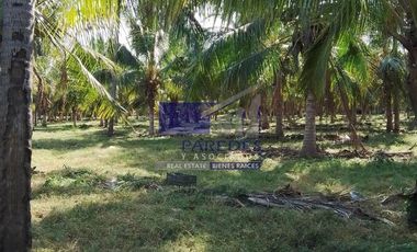 23 Hectareas en venta en colindancia con  Medanos de Ixtapa Zihuatanejo T519