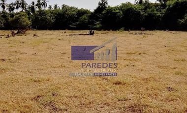 23 Hectareas en venta en colindancia con  Medanos de Ixtapa Zihuatanejo T519