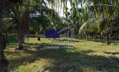 23 Hectareas en venta en colindancia con  Medanos de Ixtapa Zihuatanejo T519