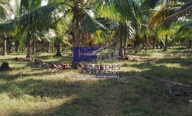 23 Hectareas en venta en colindancia con  Medanos de Ixtapa Zihuatanejo T519