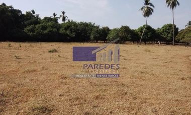 23 Hectareas en venta en colindancia con  Medanos de Ixtapa Zihuatanejo T519