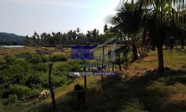 23 Hectareas en venta en colindancia con  Medanos de Ixtapa Zihuatanejo T519