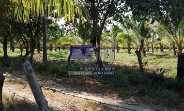 23 Hectareas en venta en colindancia con  Medanos de Ixtapa Zihuatanejo T519