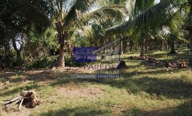 23 Hectareas en venta en colindancia con  Medanos de Ixtapa Zihuatanejo T519