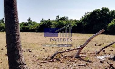 23 Hectareas en venta en colindancia con  Medanos de Ixtapa Zihuatanejo T519