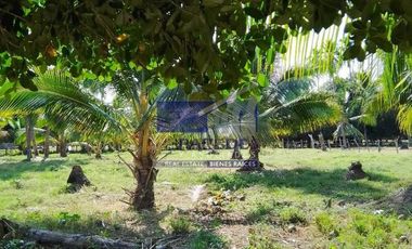 23 Hectareas en venta en colindancia con  Medanos de Ixtapa Zihuatanejo T519
