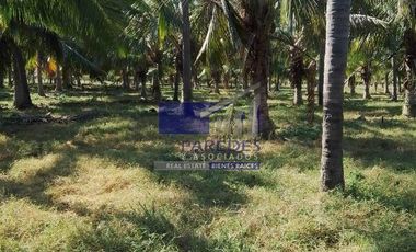 23 Hectareas en venta en colindancia con  Medanos de Ixtapa Zihuatanejo T519