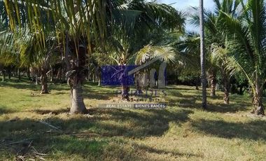 23 Hectareas en venta en colindancia con  Medanos de Ixtapa Zihuatanejo T519