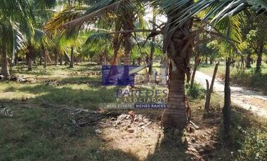 23 Hectareas en venta en colindancia con  Medanos de Ixtapa Zihuatanejo T519